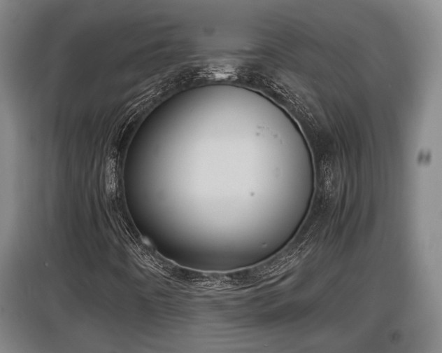 X0000097461442200802291225