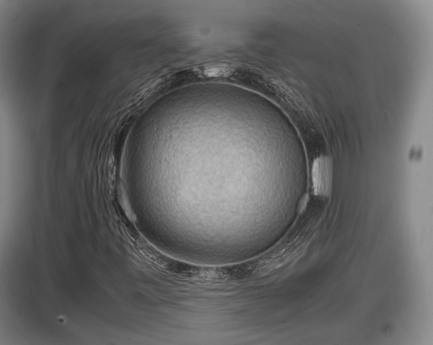 X0000097461443200802291225