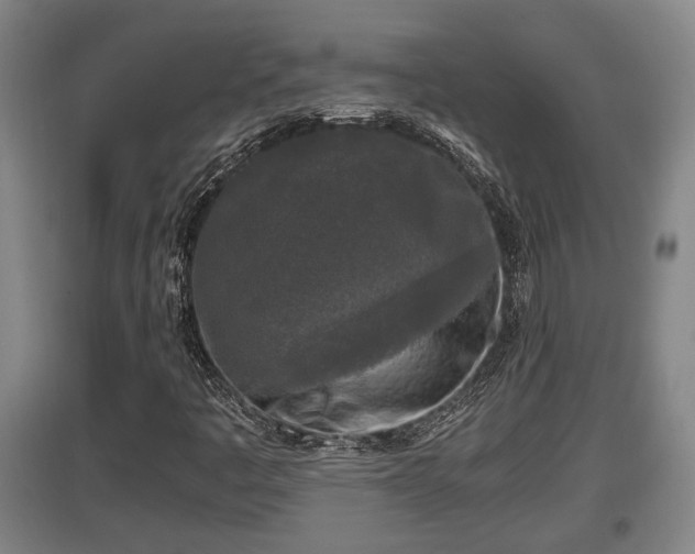 X0000097461445200802291225