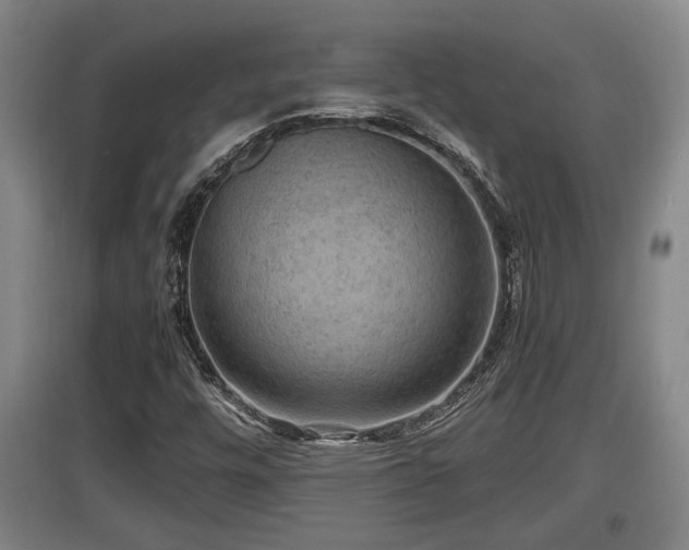 X0000097461448200802291225