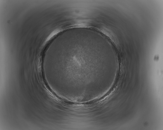 X0000097461450200802291225