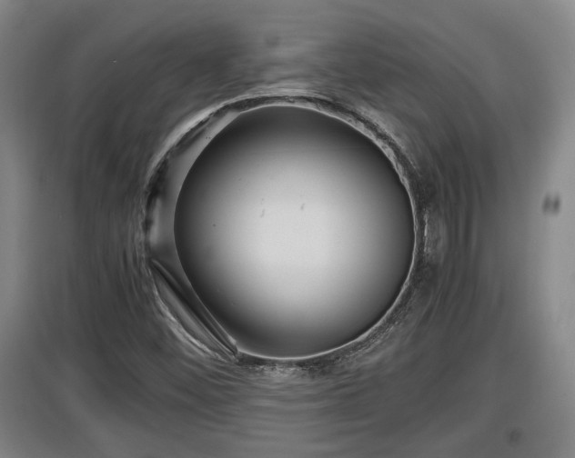 X0000097461452200802291225