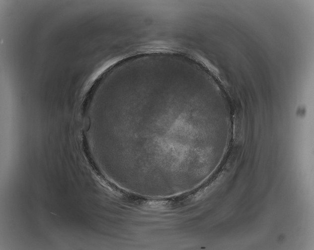 X0000097461453200802291225