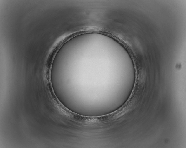 X0000097461454200802291225