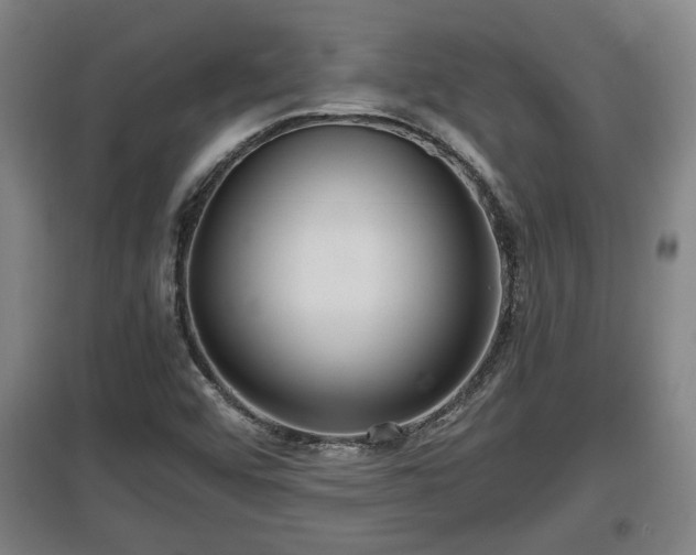 X0000097461456200802291225