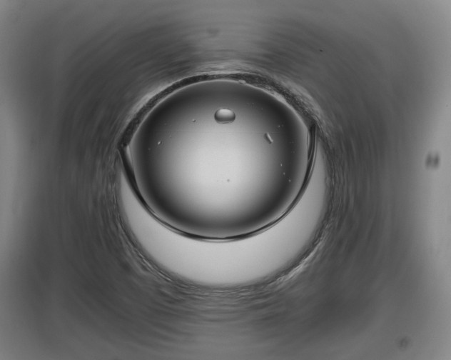 X0000097461457200802291225