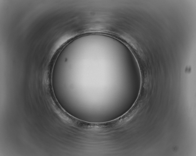 X0000097461458200802291225
