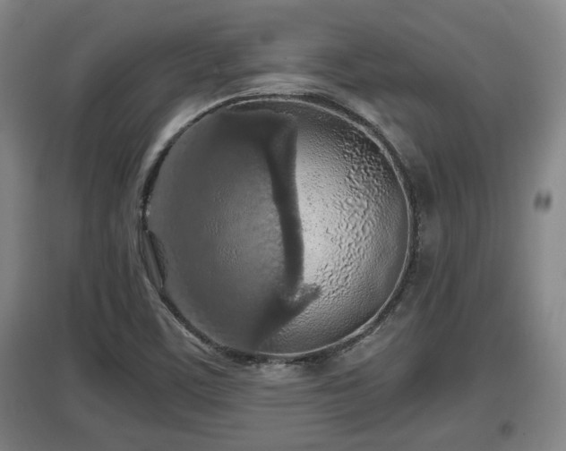 X0000097461459200802291225