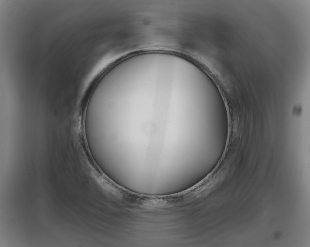 X0000097461462200802291225