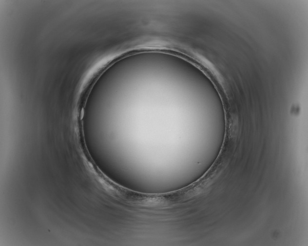 X0000097461464200802291224