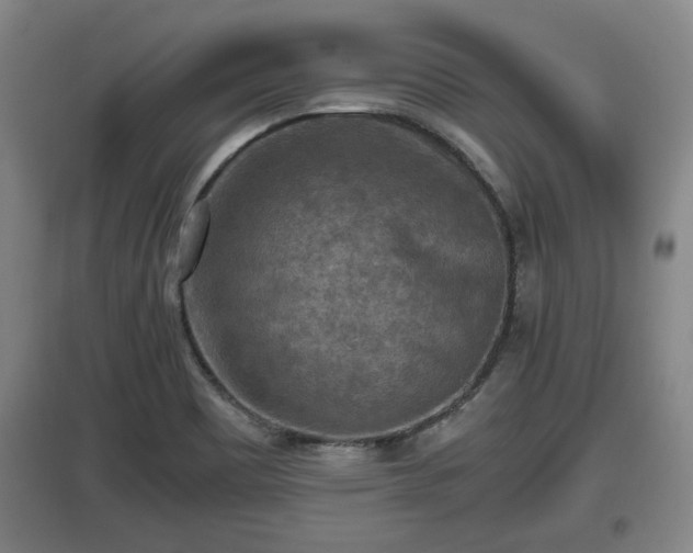 X0000097461465200802291224