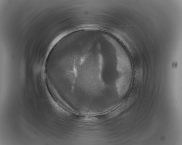 X0000097461466200802291224