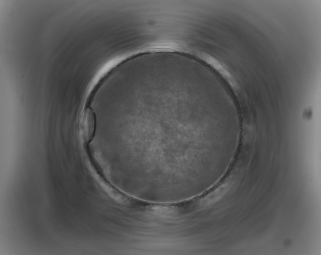 X0000097461469200802291224