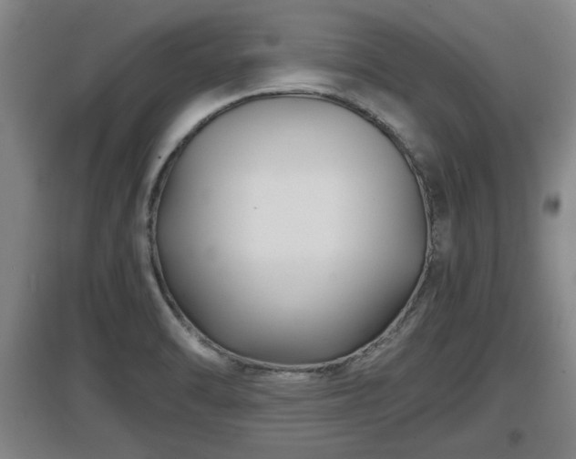X0000097461470200802291224
