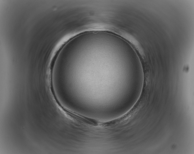 X0000097461472200802291224