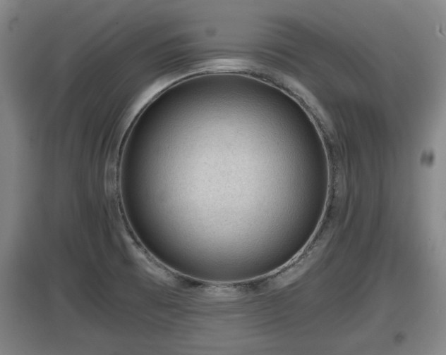 X0000097461473200802291224