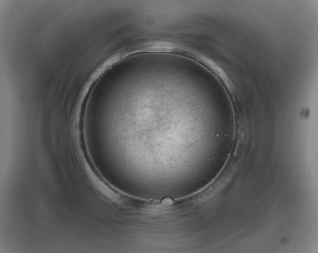 X0000097461475200802291224