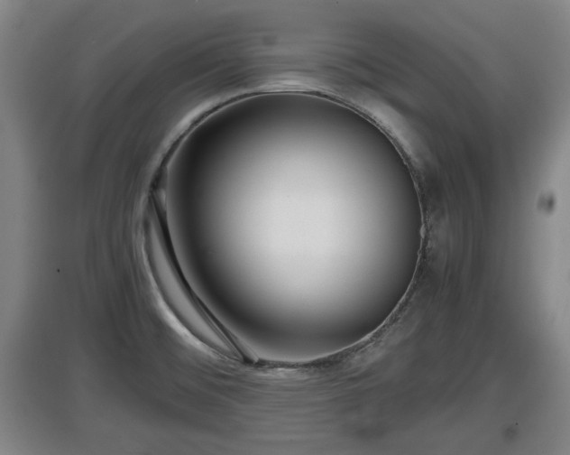 X0000097461476200802291224