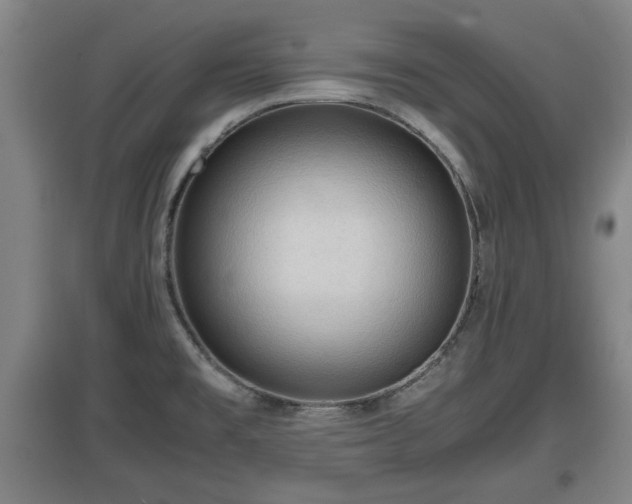 X0000097461477200802291224