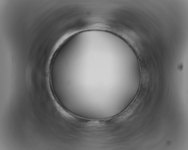 X0000097461478200802291224