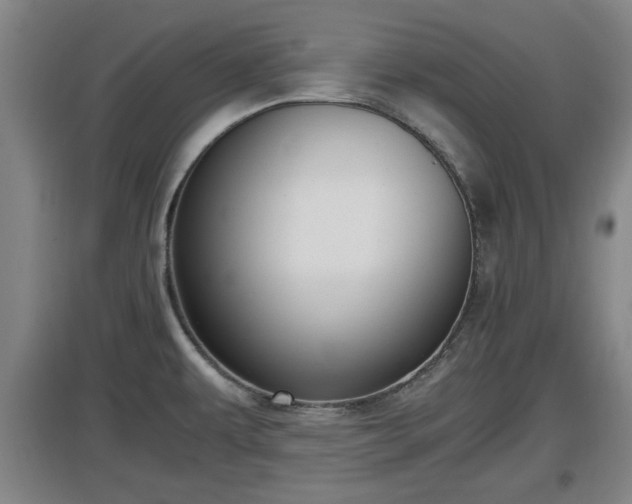 X0000097461479200802291224