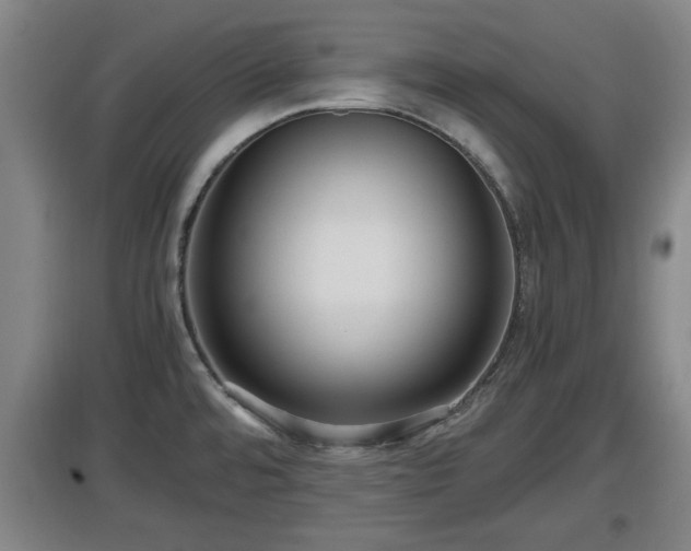 X0000097461480200802291224