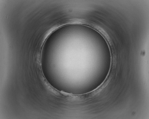 X0000097461481200802291224
