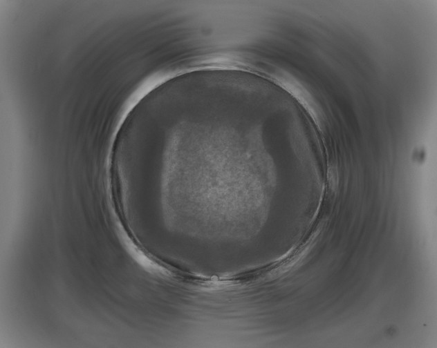 X0000097461482200802291224