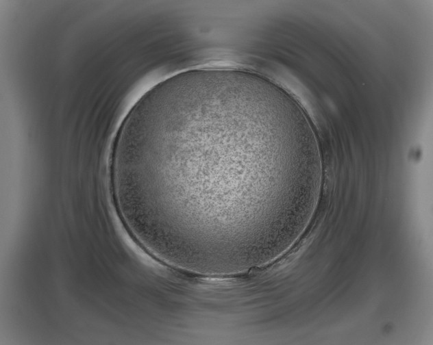 X0000097461483200802291224
