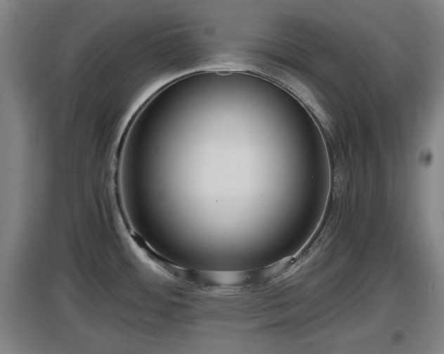 X0000097461484200802291224