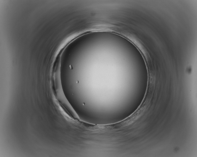 X0000097461485200802291224