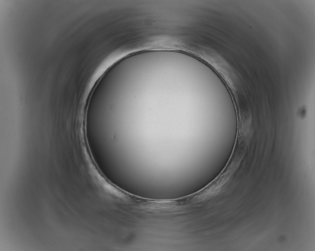 X0000097461486200802291224