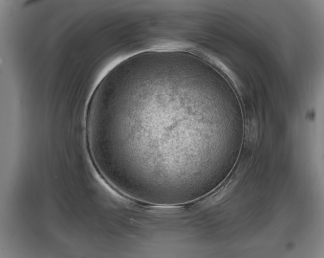 X0000097461487200802291224