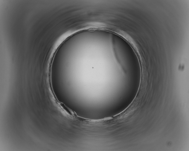 X0000097461488200802291224