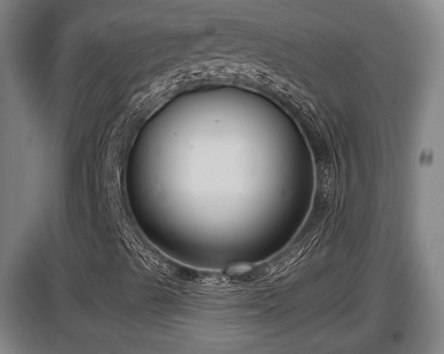 X0000097461489200802291223