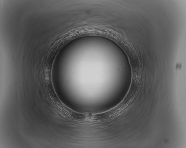 X0000097461490200802291223