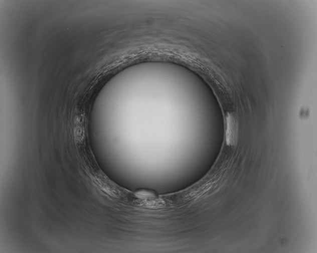 X0000097461491200802291223