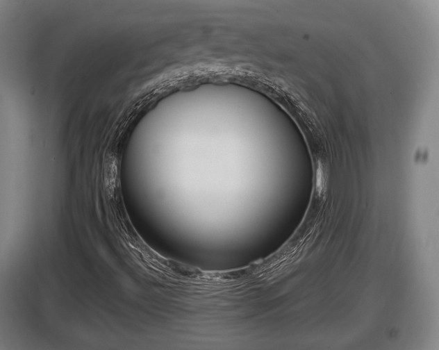 X0000097461492200802291223