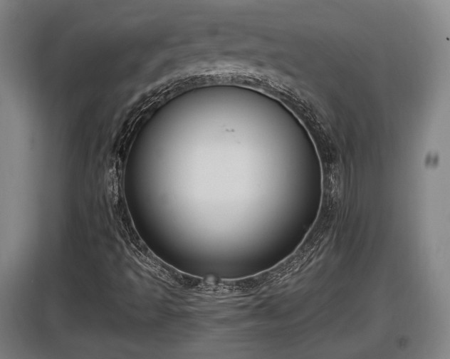X0000097461493200802291223