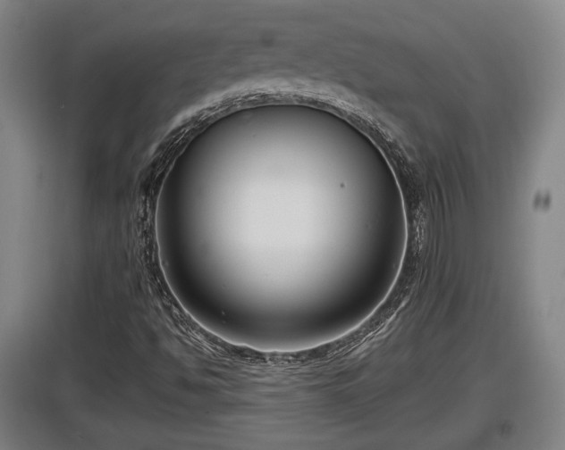 X0000097461494200802291223