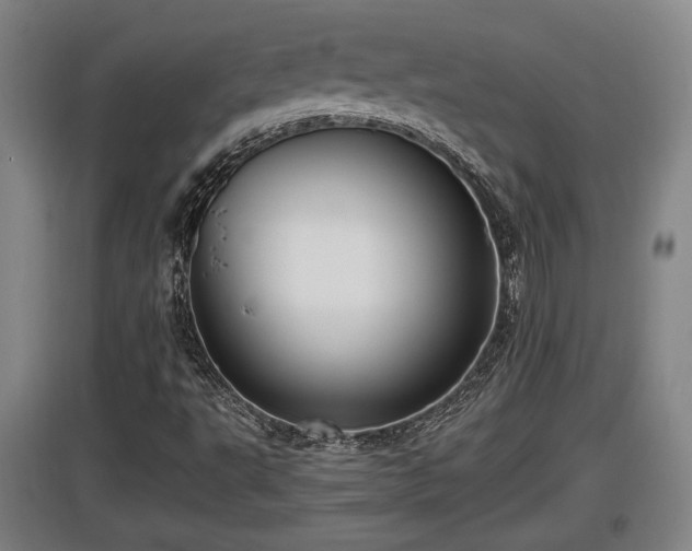 X0000097461495200802291223