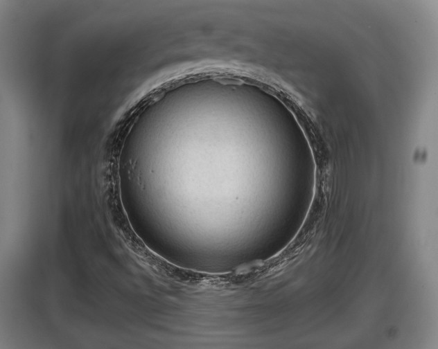 X0000097461496200802291223
