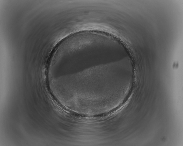 X0000097461497200802291224