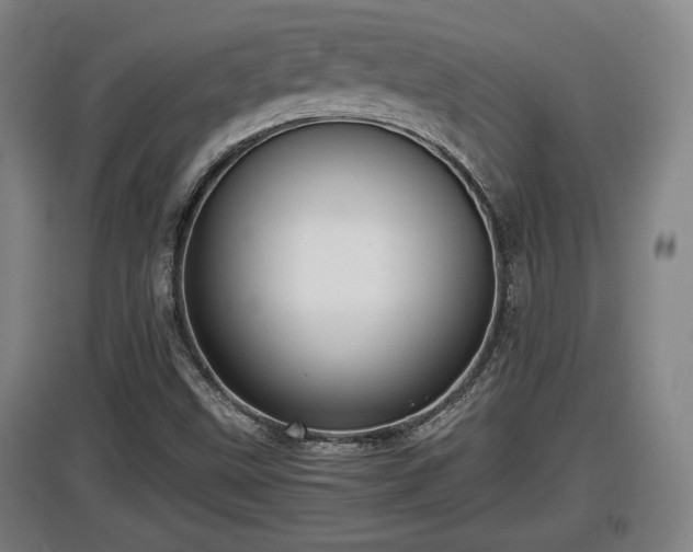 X0000097461499200802291224