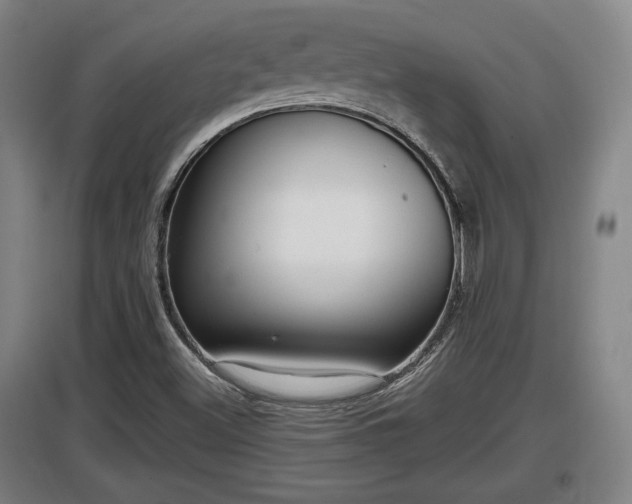 X0000097461500200802291224