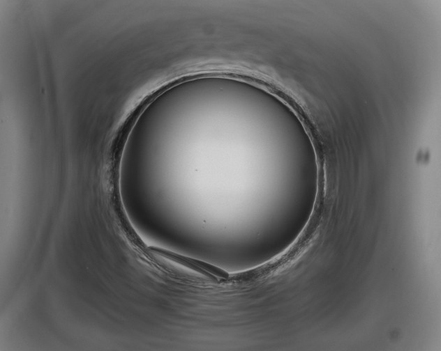 X0000097461501200802291224