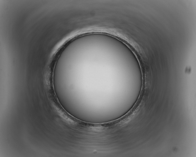 X0000097461502200802291224