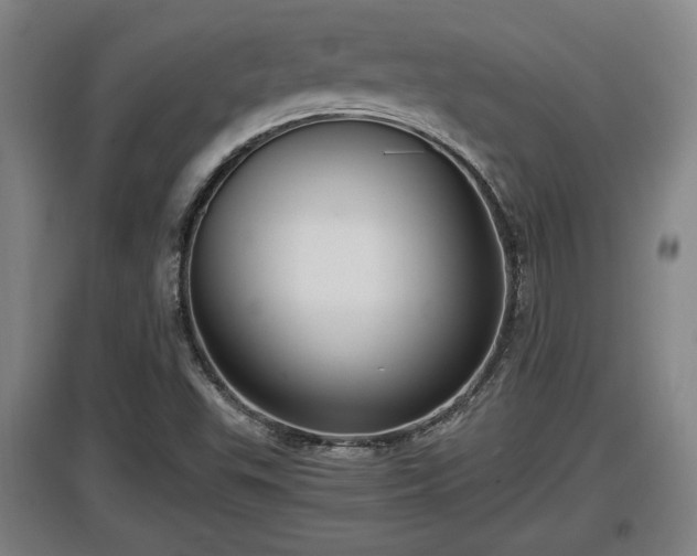 X0000097461503200802291224