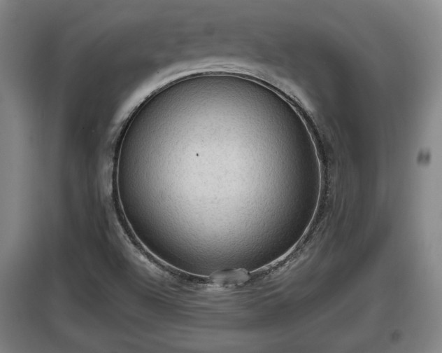 X0000097461504200802291224