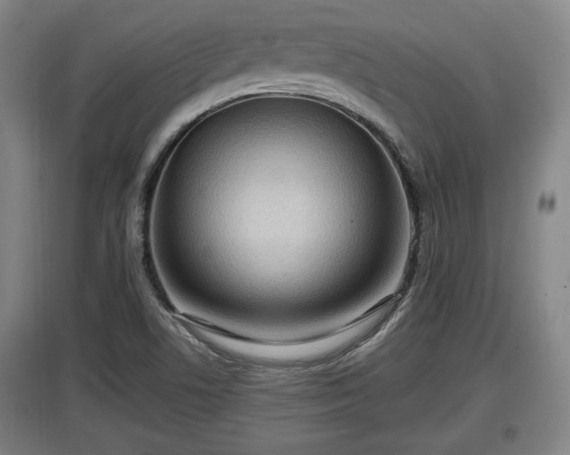 X0000097461506200802291224